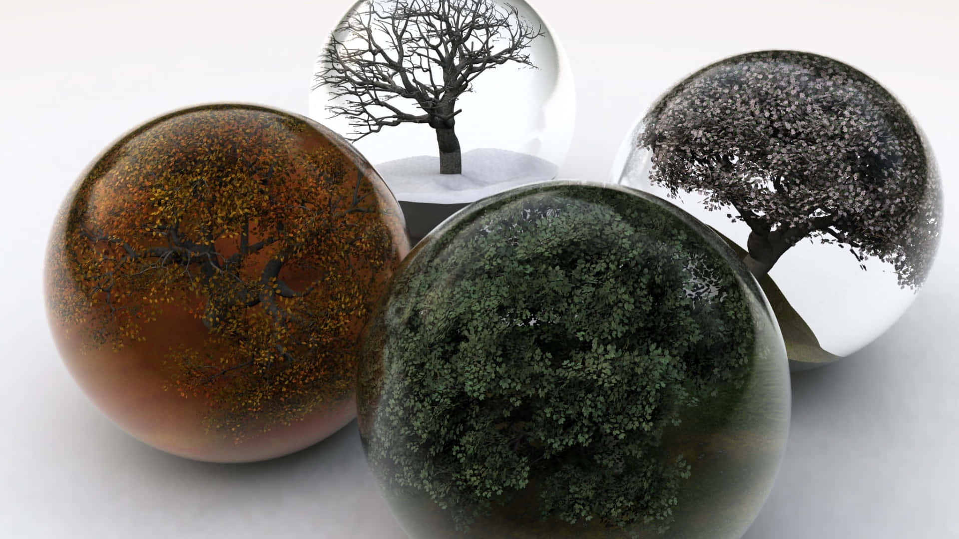 Four Seasons Trees In Glass Balls Background