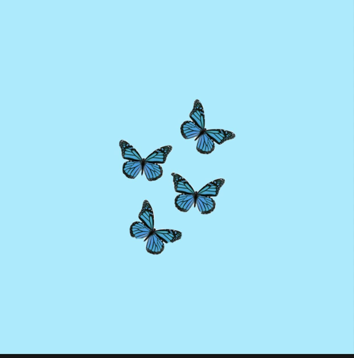 Four Small Blue Pastel Butterfly Background