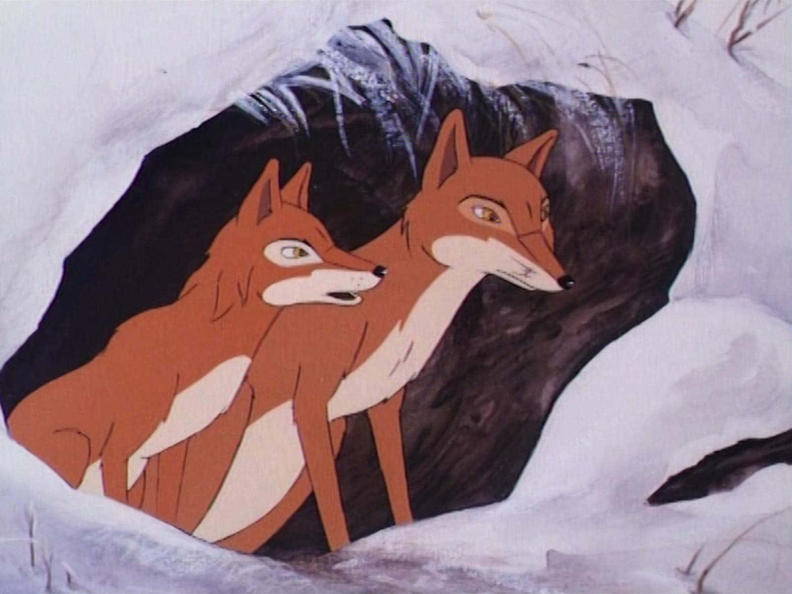 Foxes From The Animals Of Farthing Wood Background