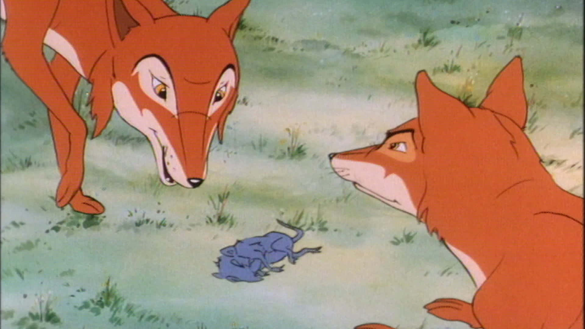 Foxes Rounding Up In The Animals Of Farthing Wood Background