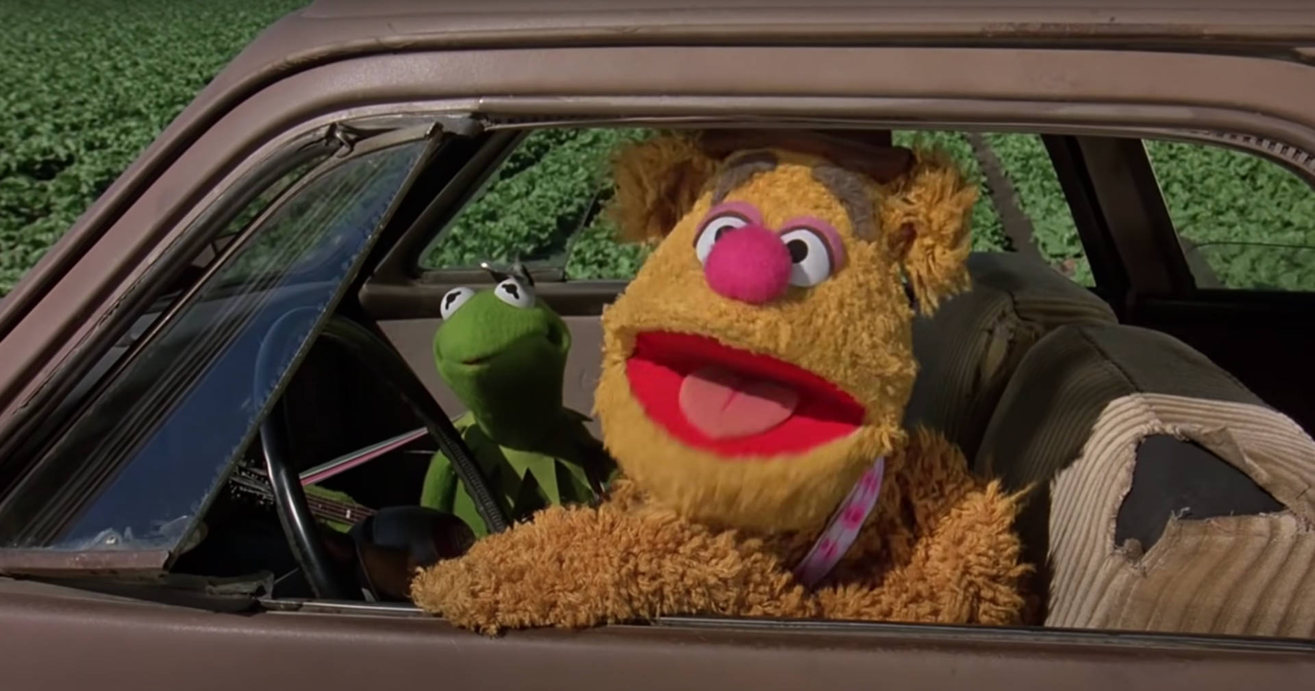 Fozzie Bear And Kermit The Frog Background