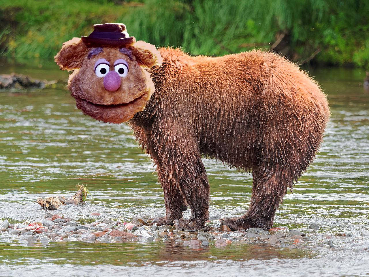 Fozzie Bear Animal In River Background