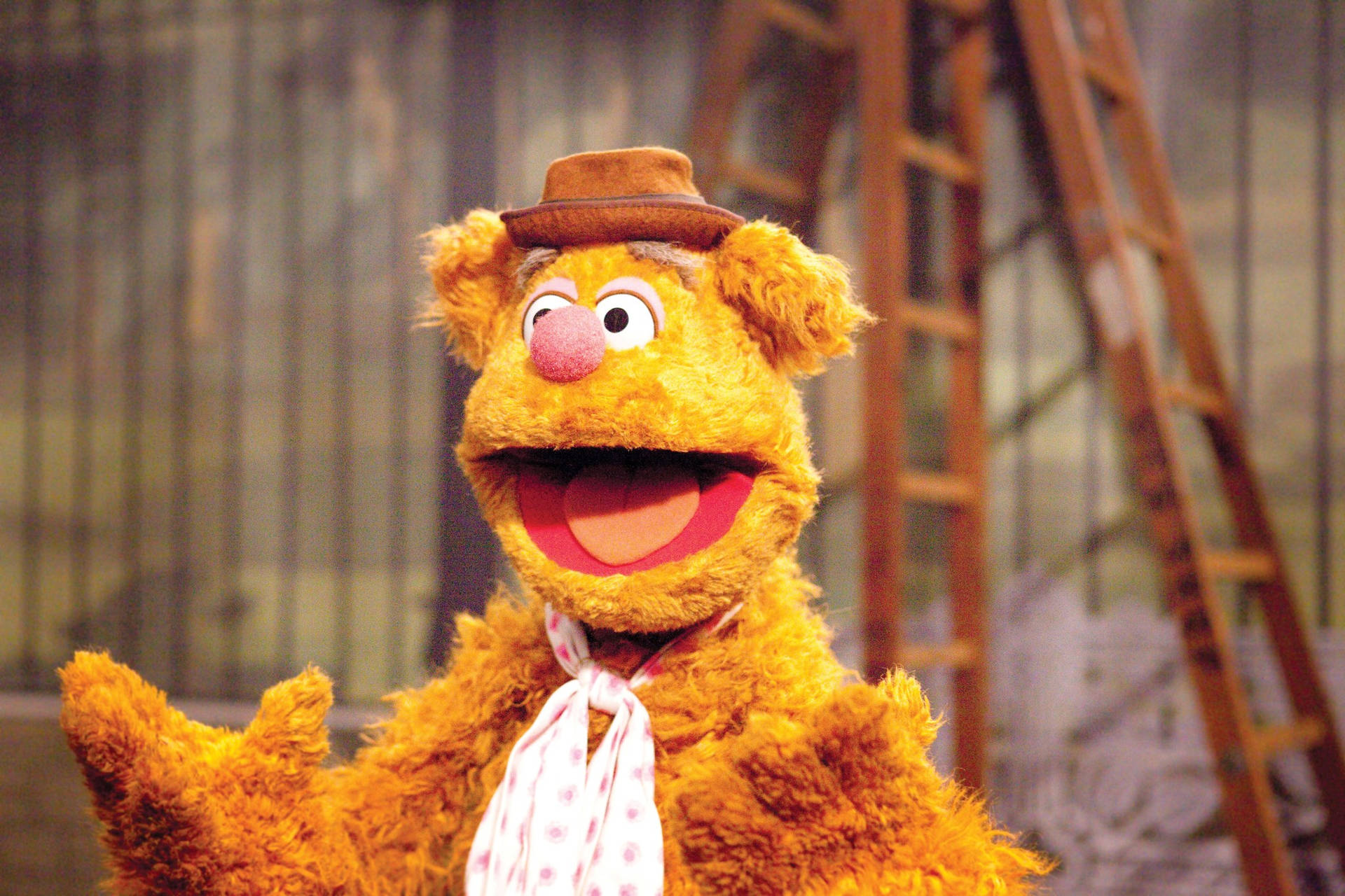 Fozzie Bear Happy Face Background