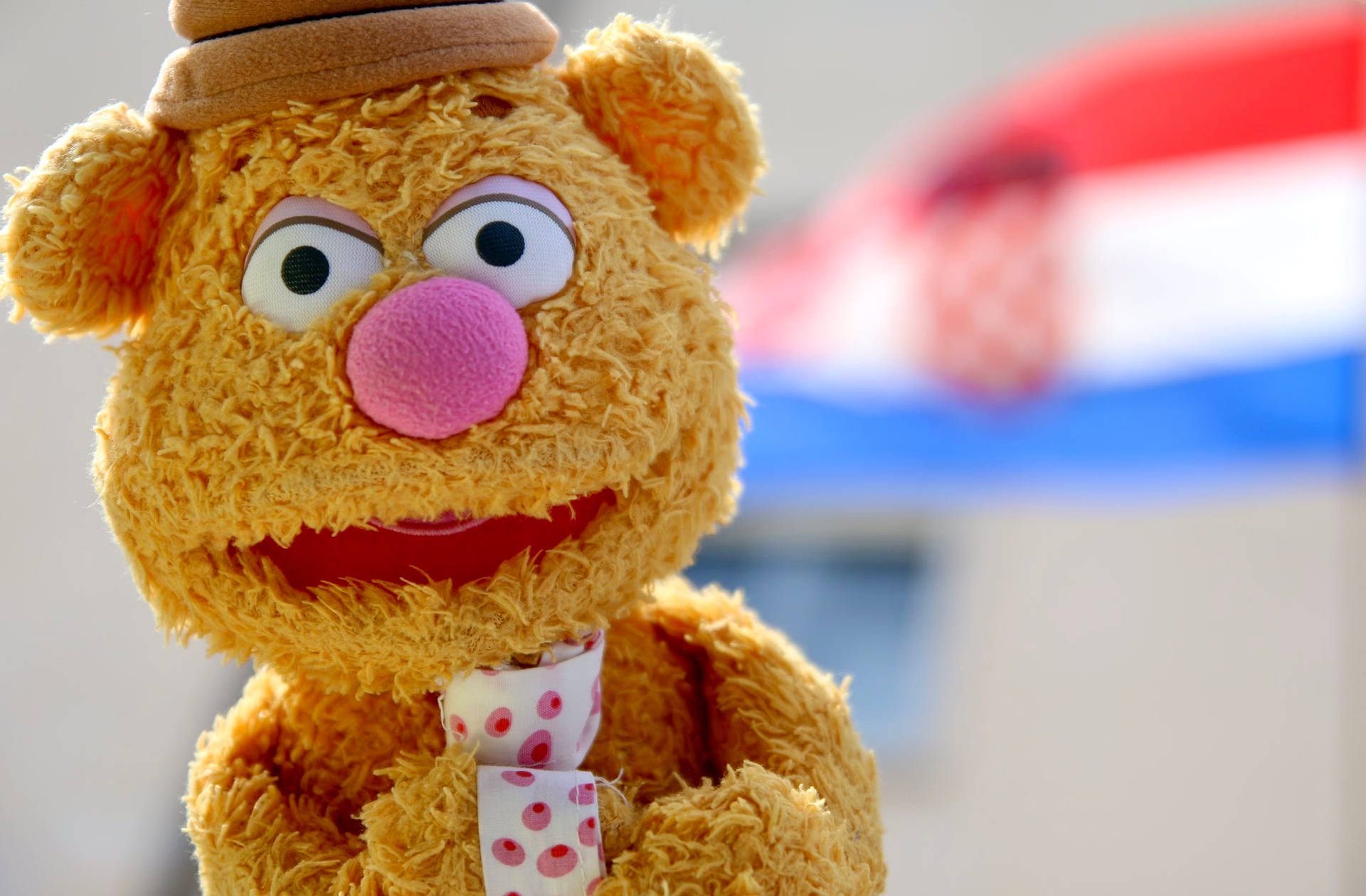 Fozzie Bear Pink Nose Background