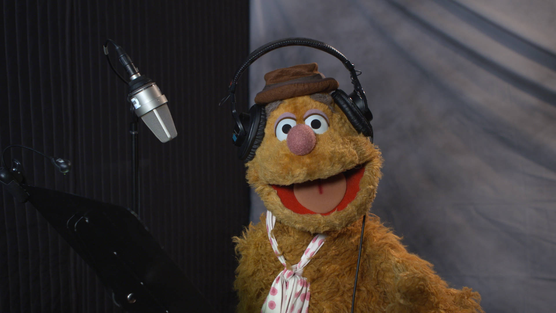 Fozzie Bear Radio Dj Background