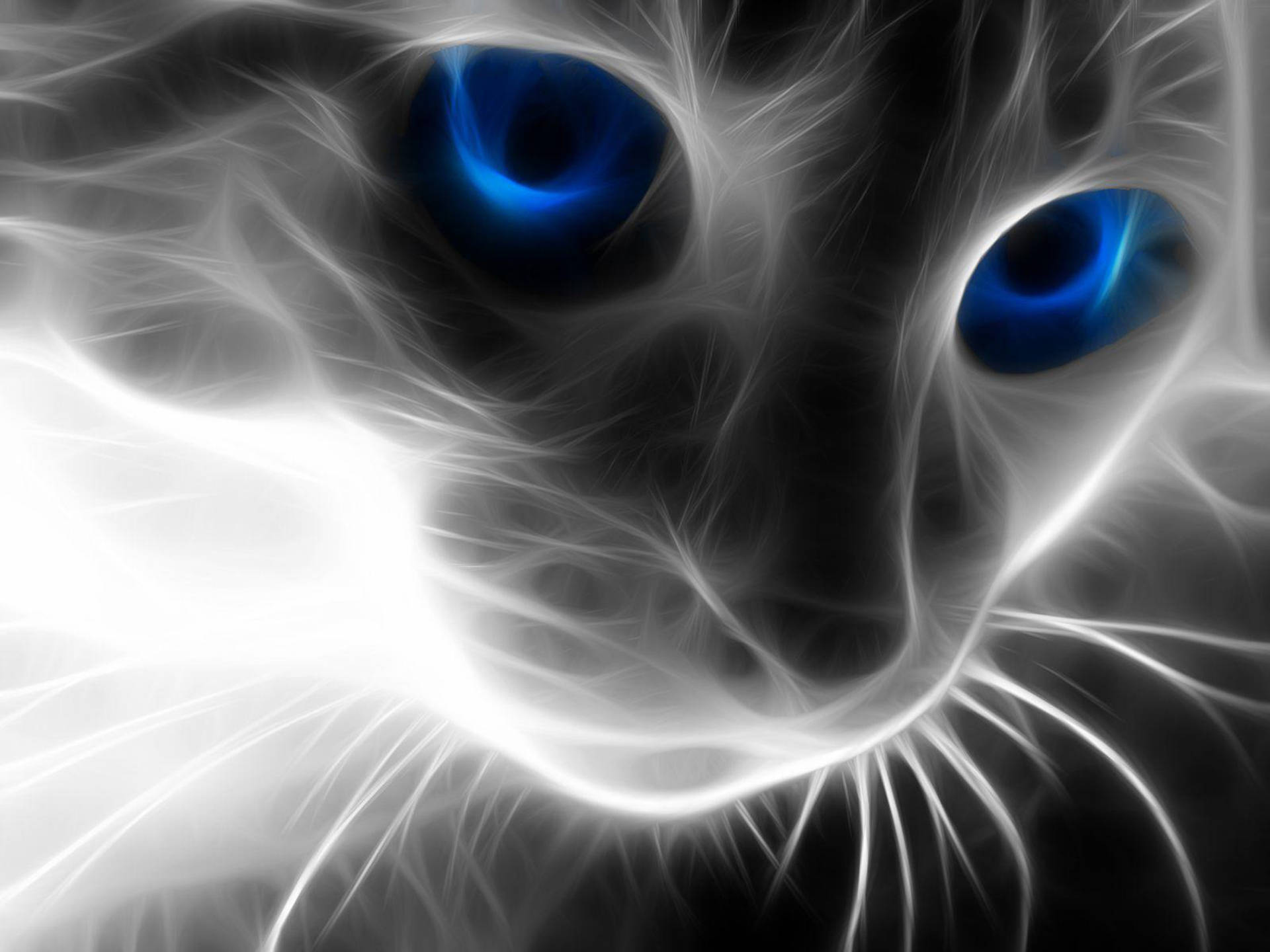 Fractal Cool Cat Blue Eyes Background