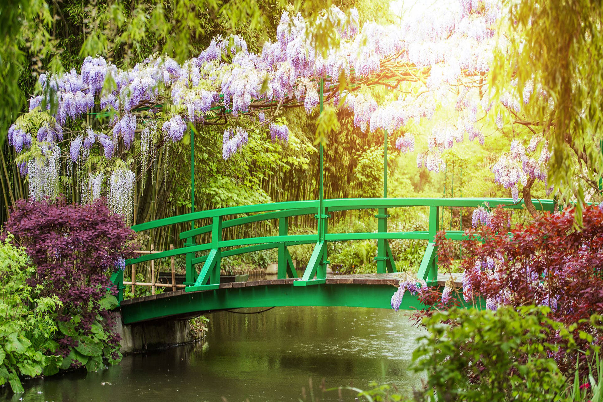 France's Monet's Garden Background
