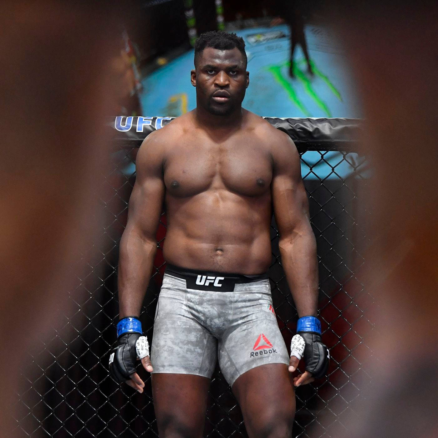 Francis Ngannou Facing Opponent