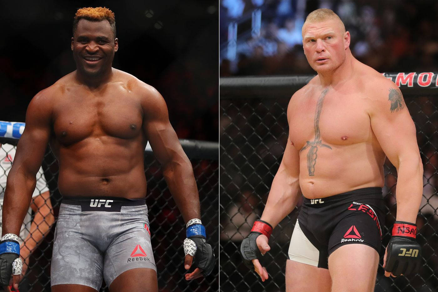 Francis Ngannou Vs Brock Lesnar Background