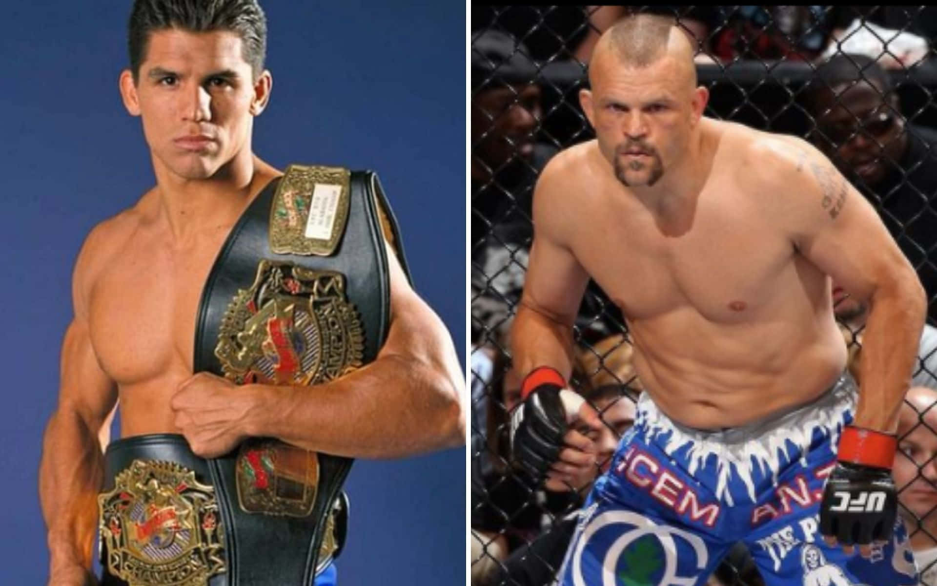 Frank Shamrock And Chuck Liddell