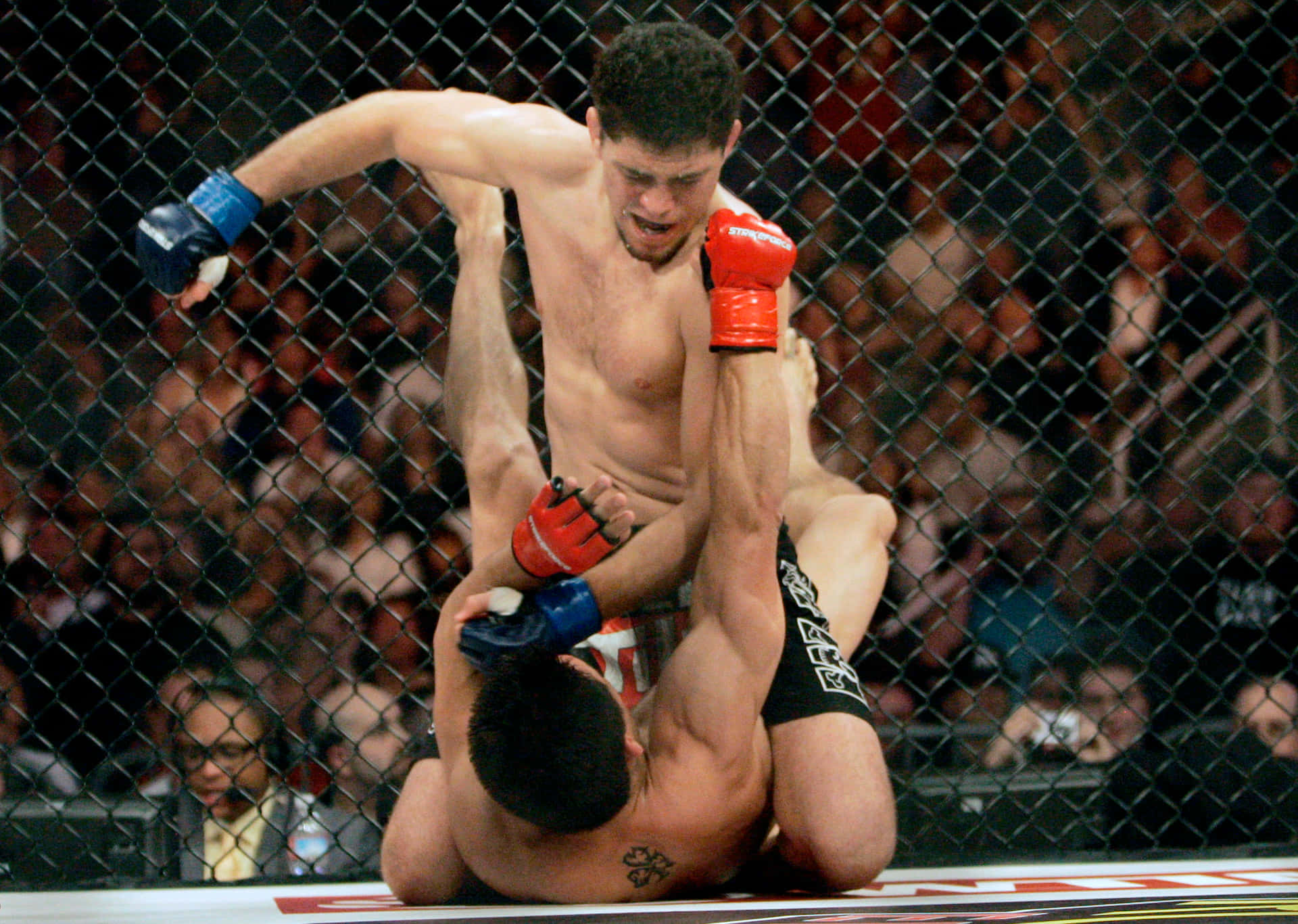 Frank Shamrock Fighting Nick Diaz