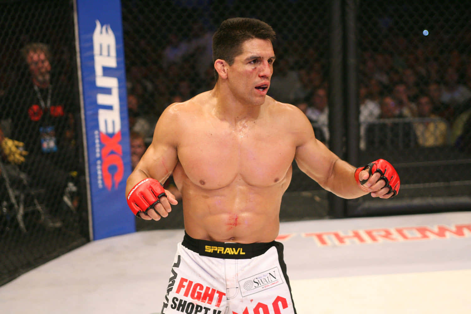 Frank Shamrock In Bellator Mma Promotions