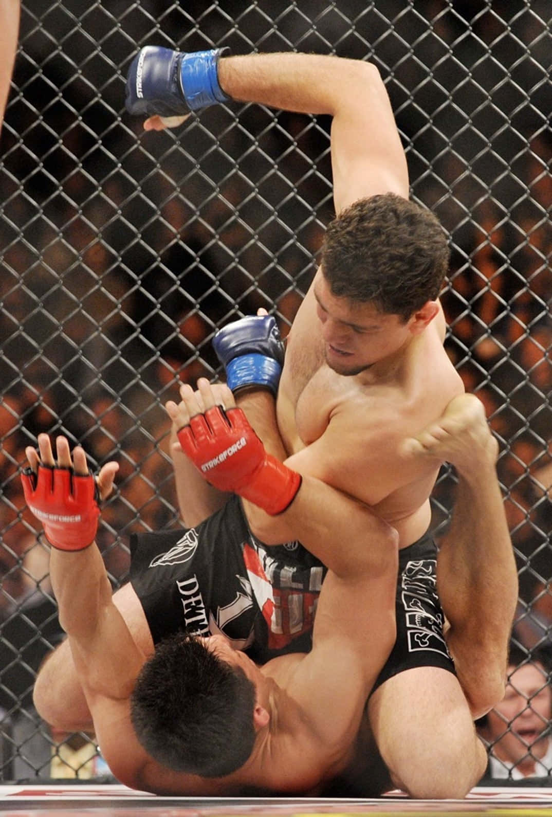 Frank Shamrock Versus Nick Diaz