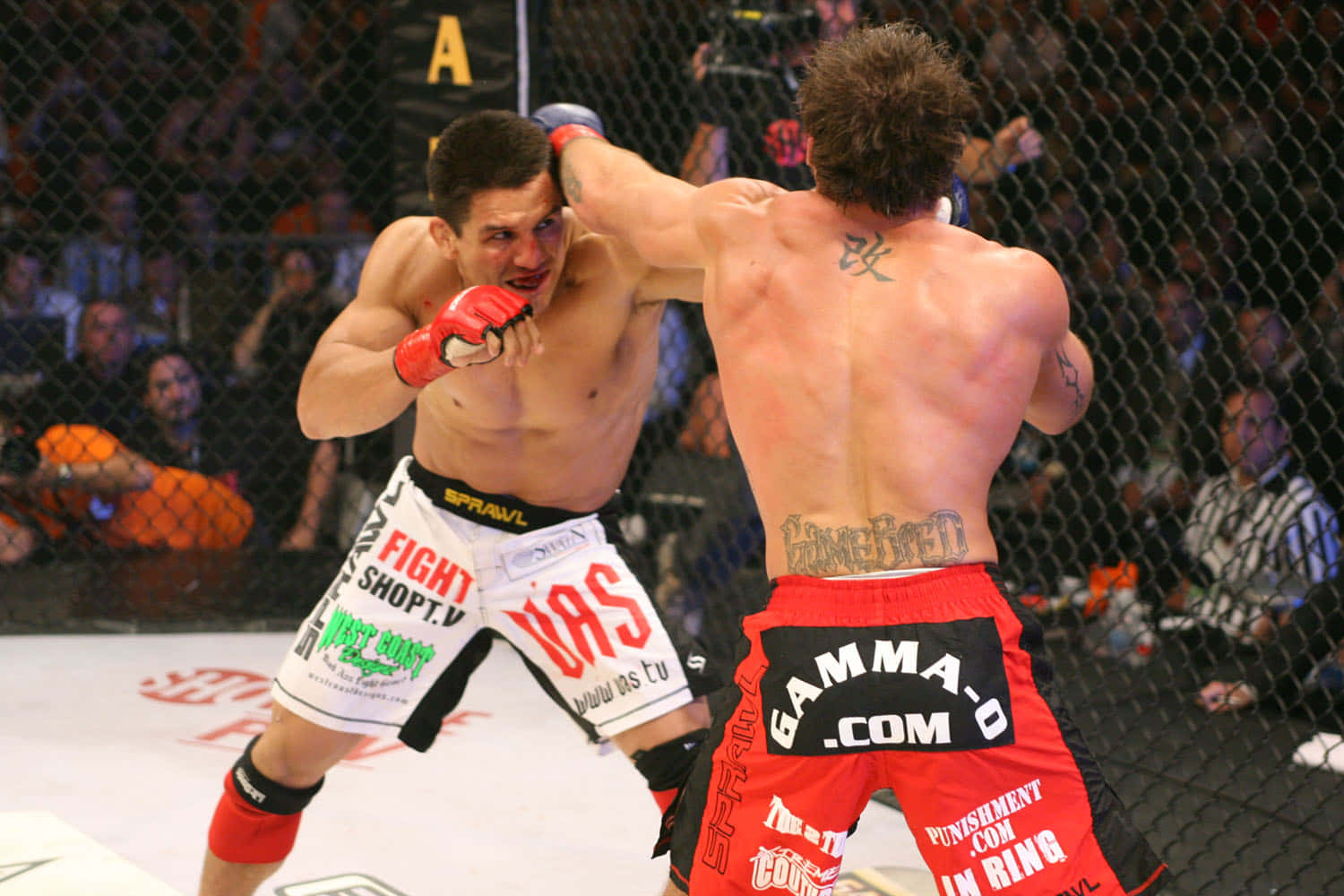 Frank Shamrock Versus Ryan Bader