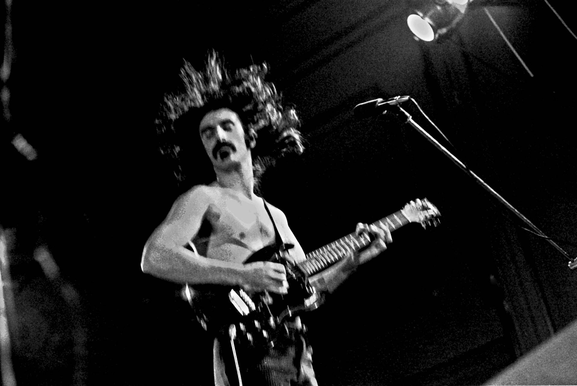 Frank Zappa Live Performance Background