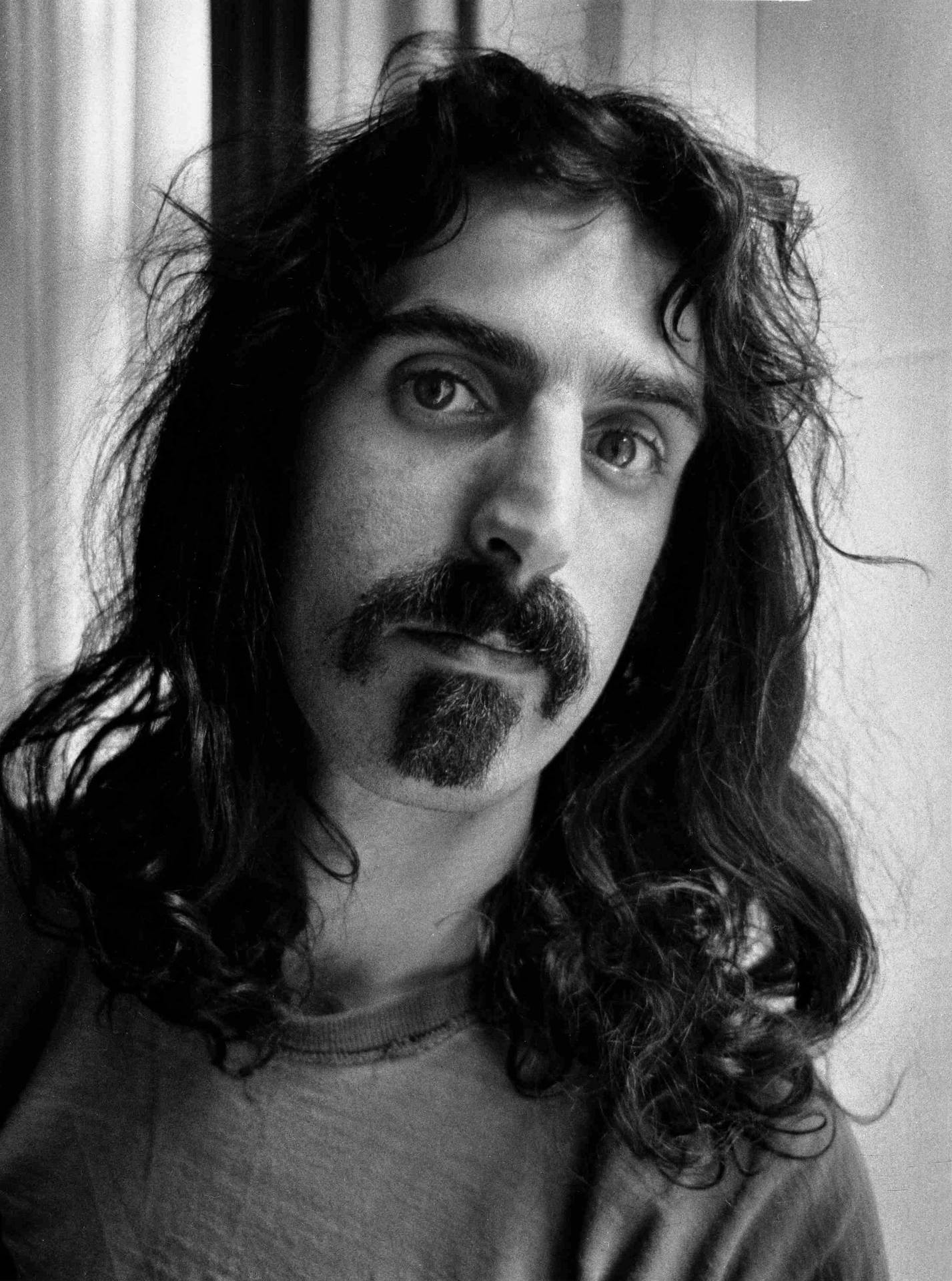 Frank Zappa Long Hair Background
