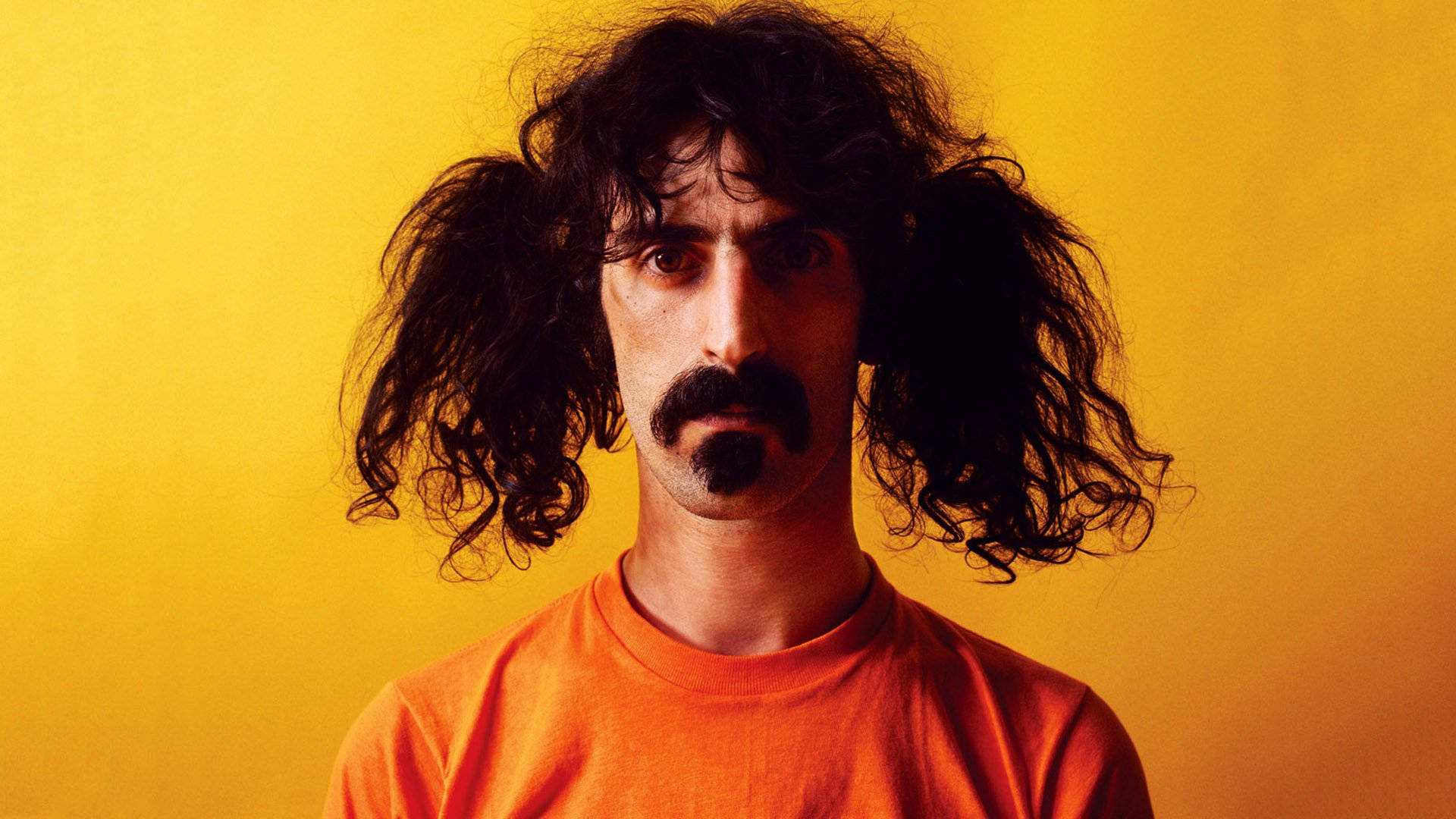 Frank Zappa Pigtails Background