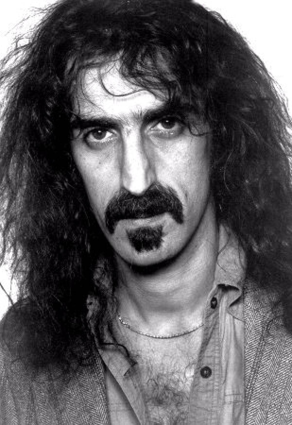 Frank Zappa Portrait Background