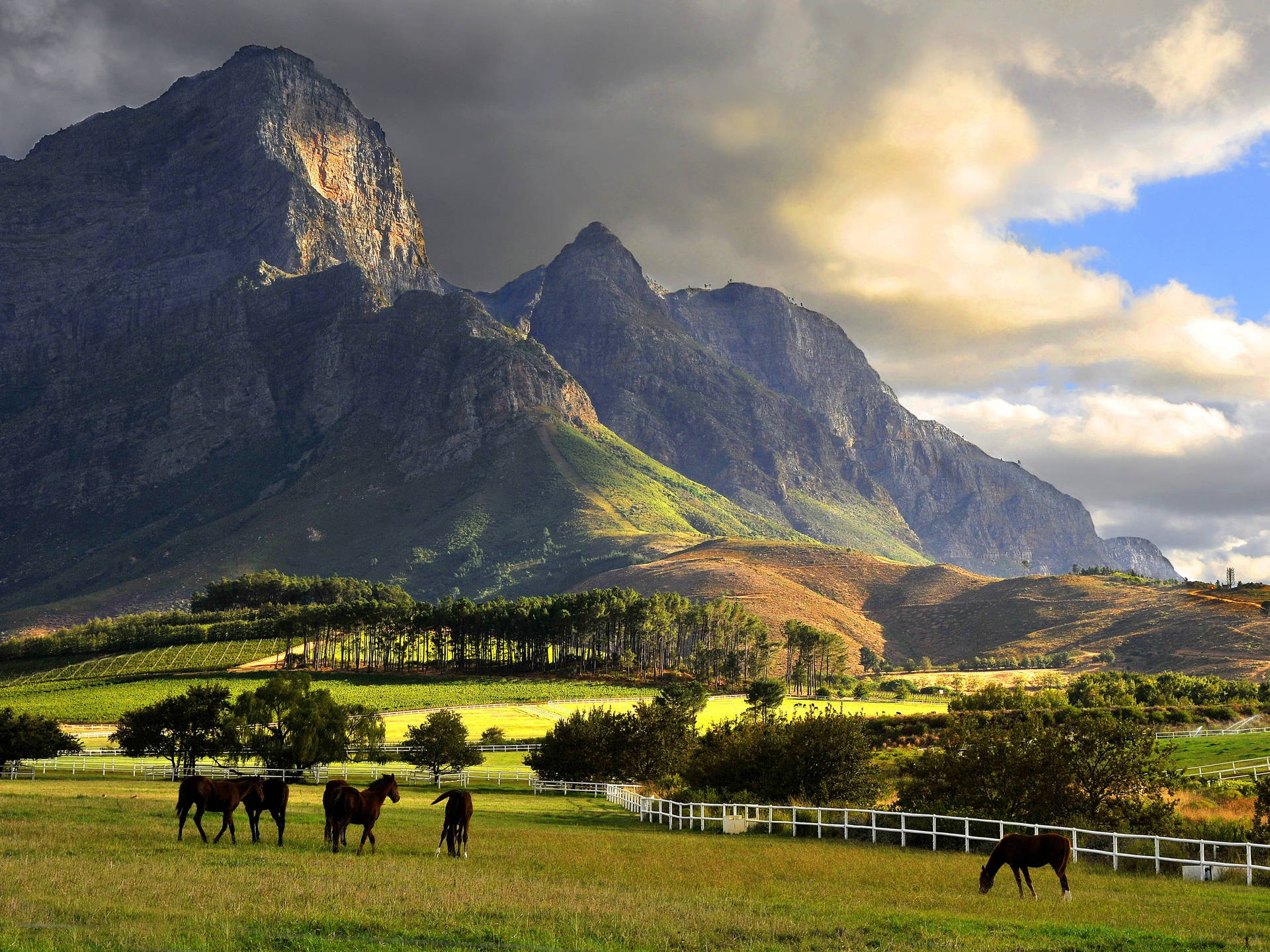 Franschhoek Wine Valley In South Africa Background