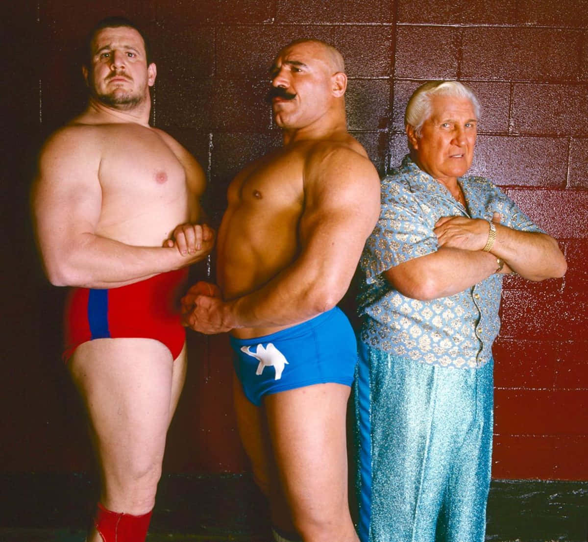 Freddie Blassie The Iron Sheik Nikolai Volkoff Background