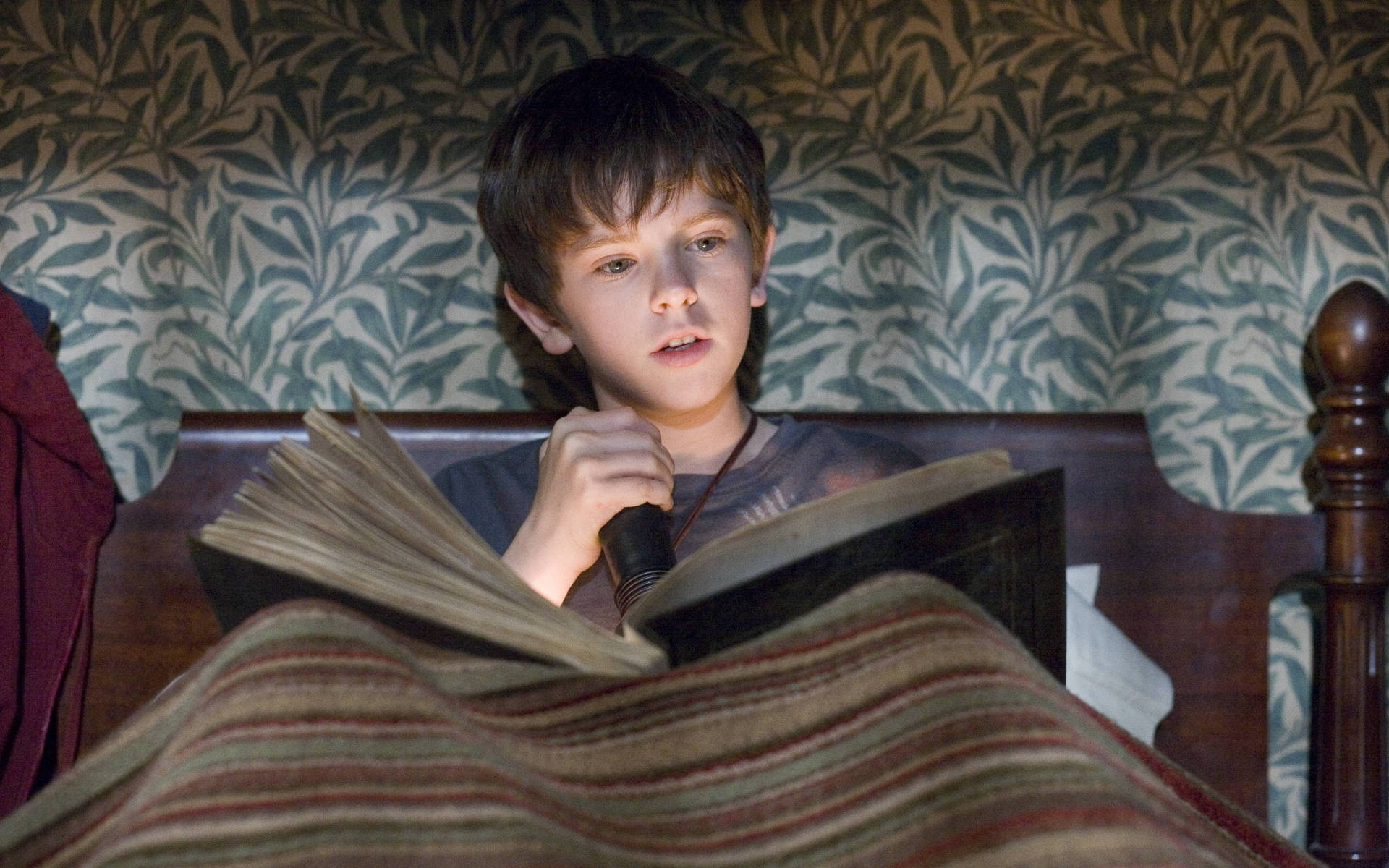 Freddie Highmore Read Book