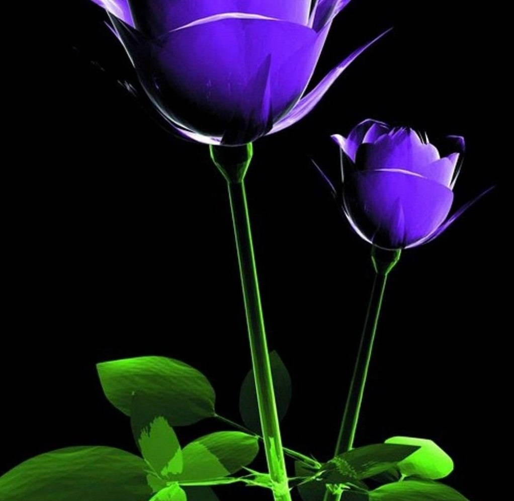 Free Image 3d Purple Flower Background