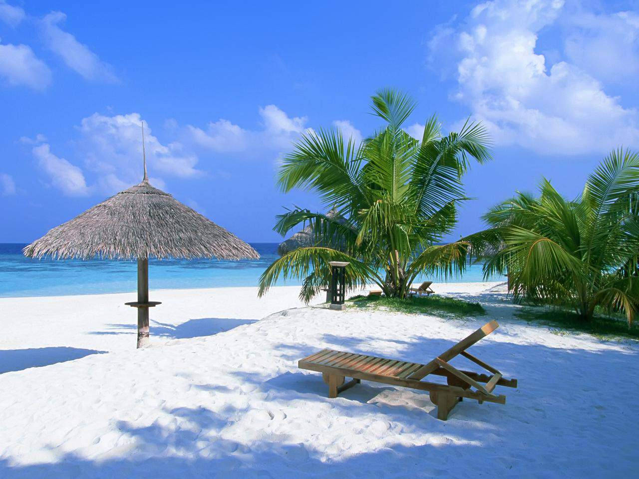 Free Image Beach White Sand