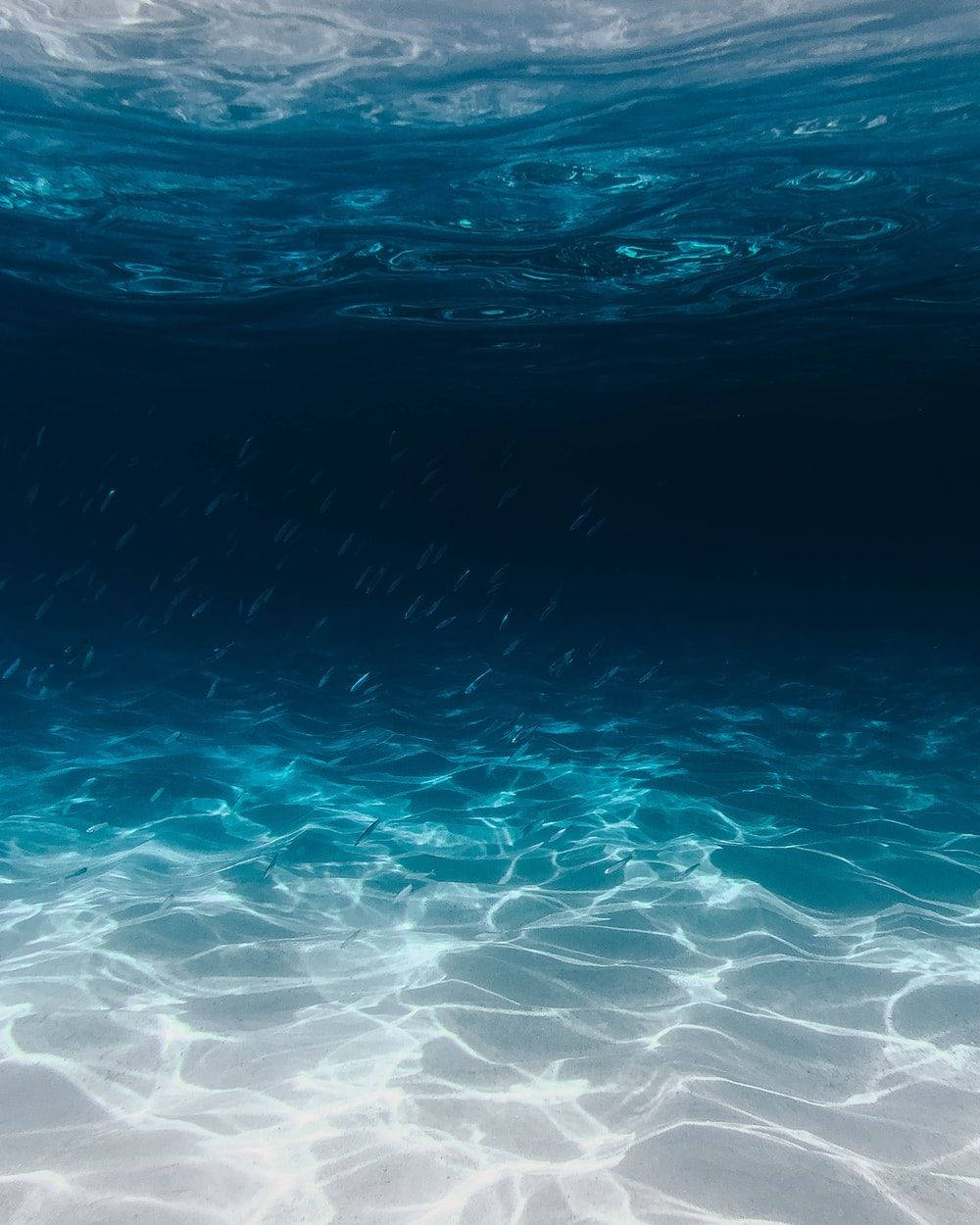 Free Image Dark Blue Water Background