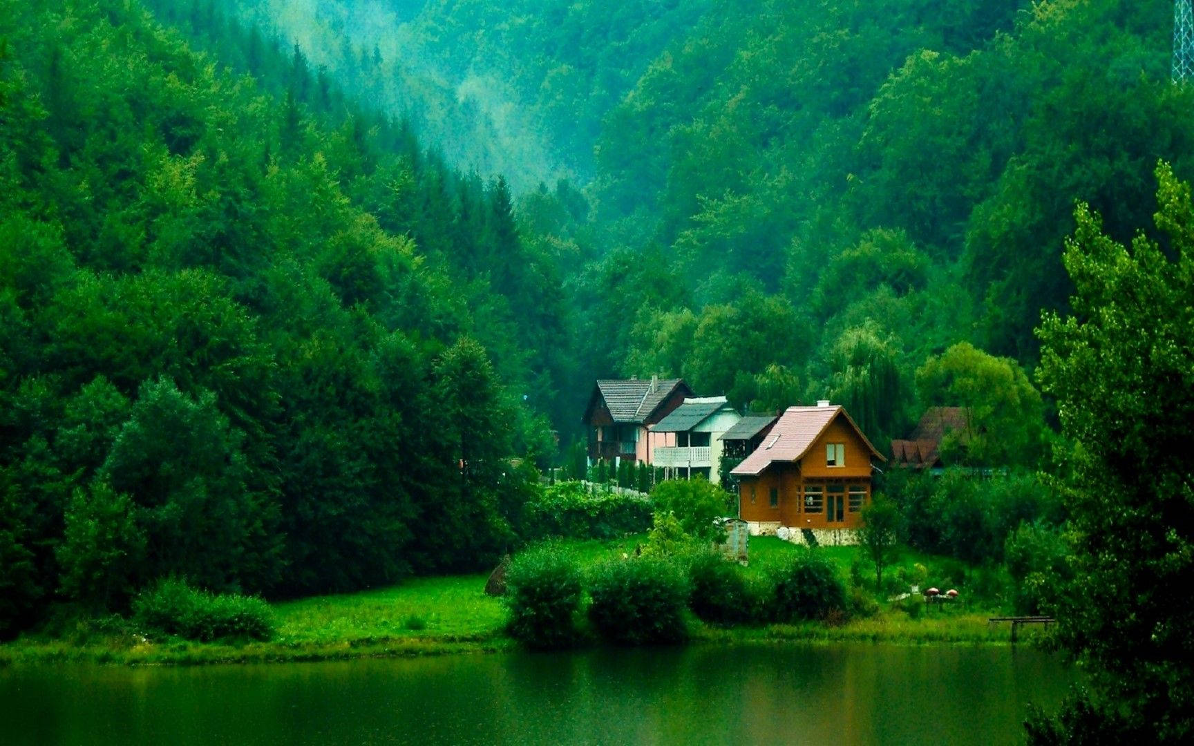 Free Image Forest Home