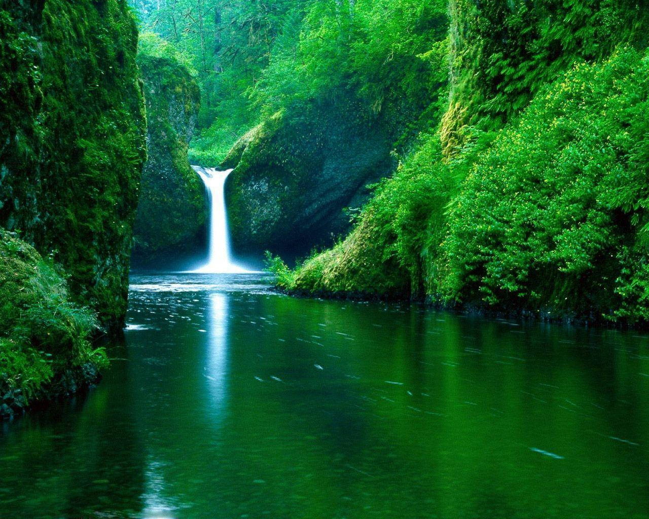 Free Image Green Waterfall Background