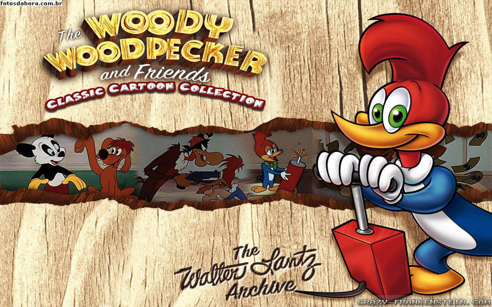 Free Woody Woodpecker Hd Wallpaper Background