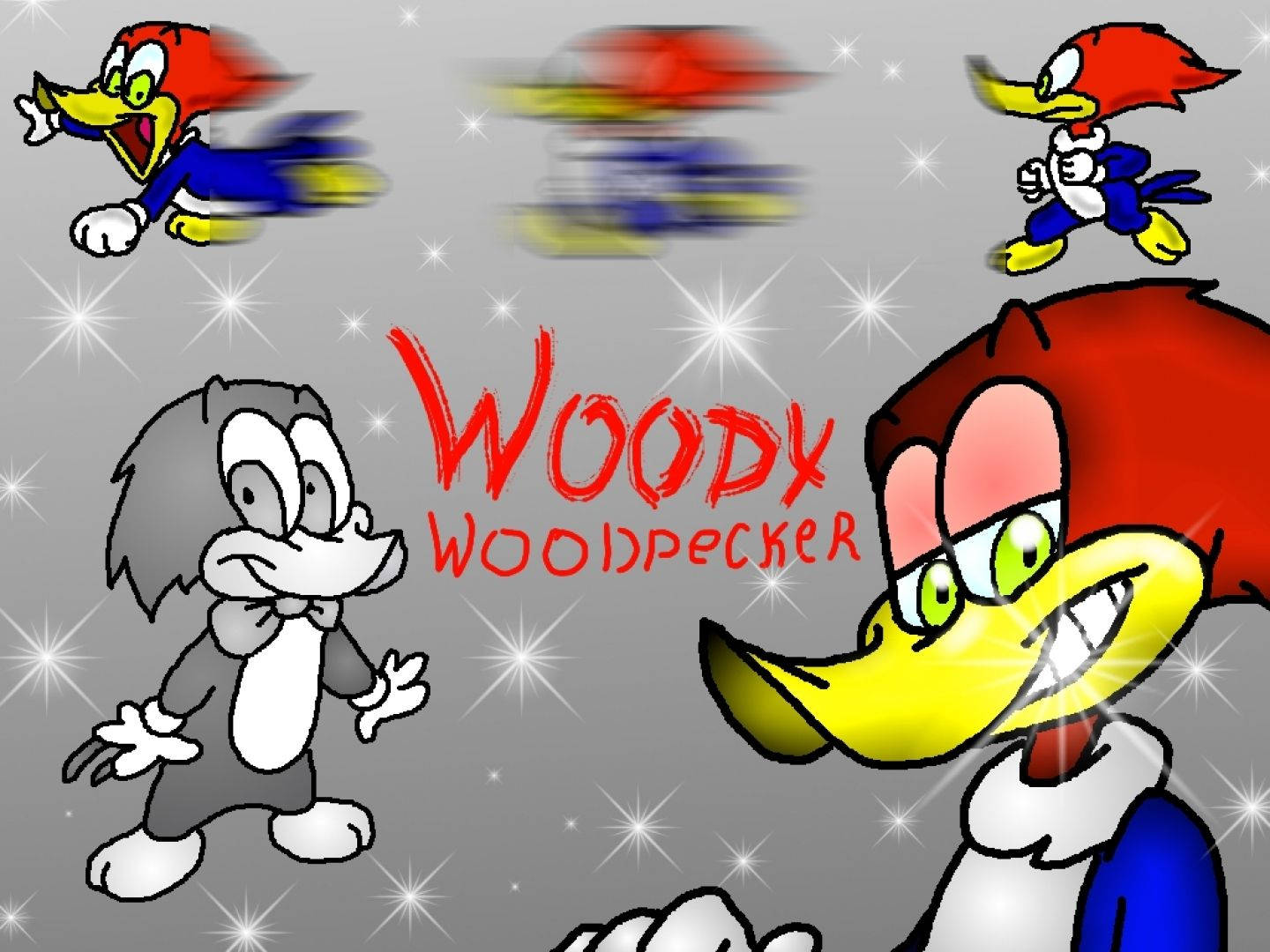 Free Woody Woodpecker Hd You Can See And Find A Picture Background