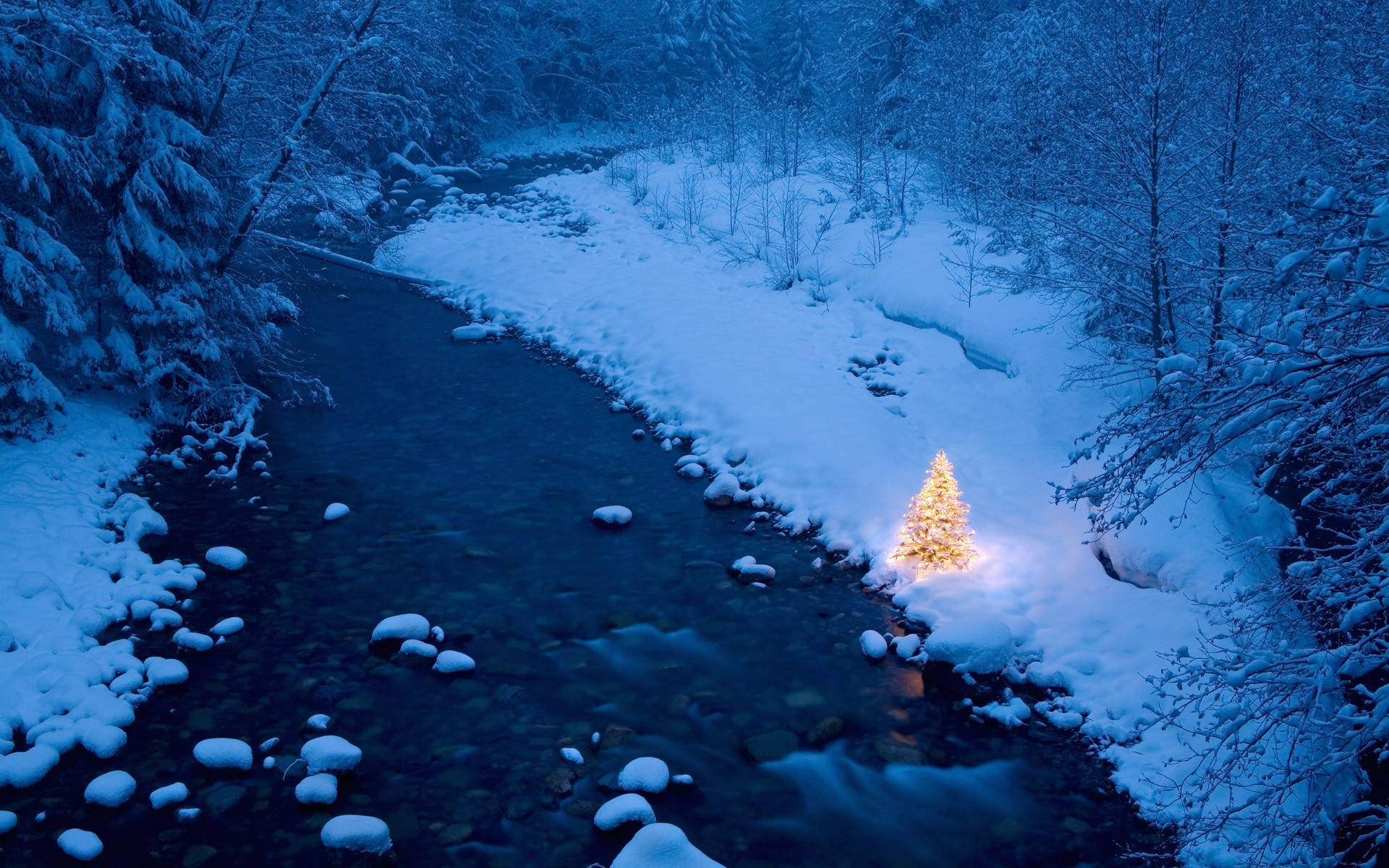 Freezing River In The Christmas Forest Background