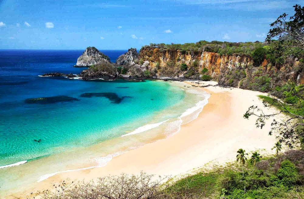 French Guiana Beach Background