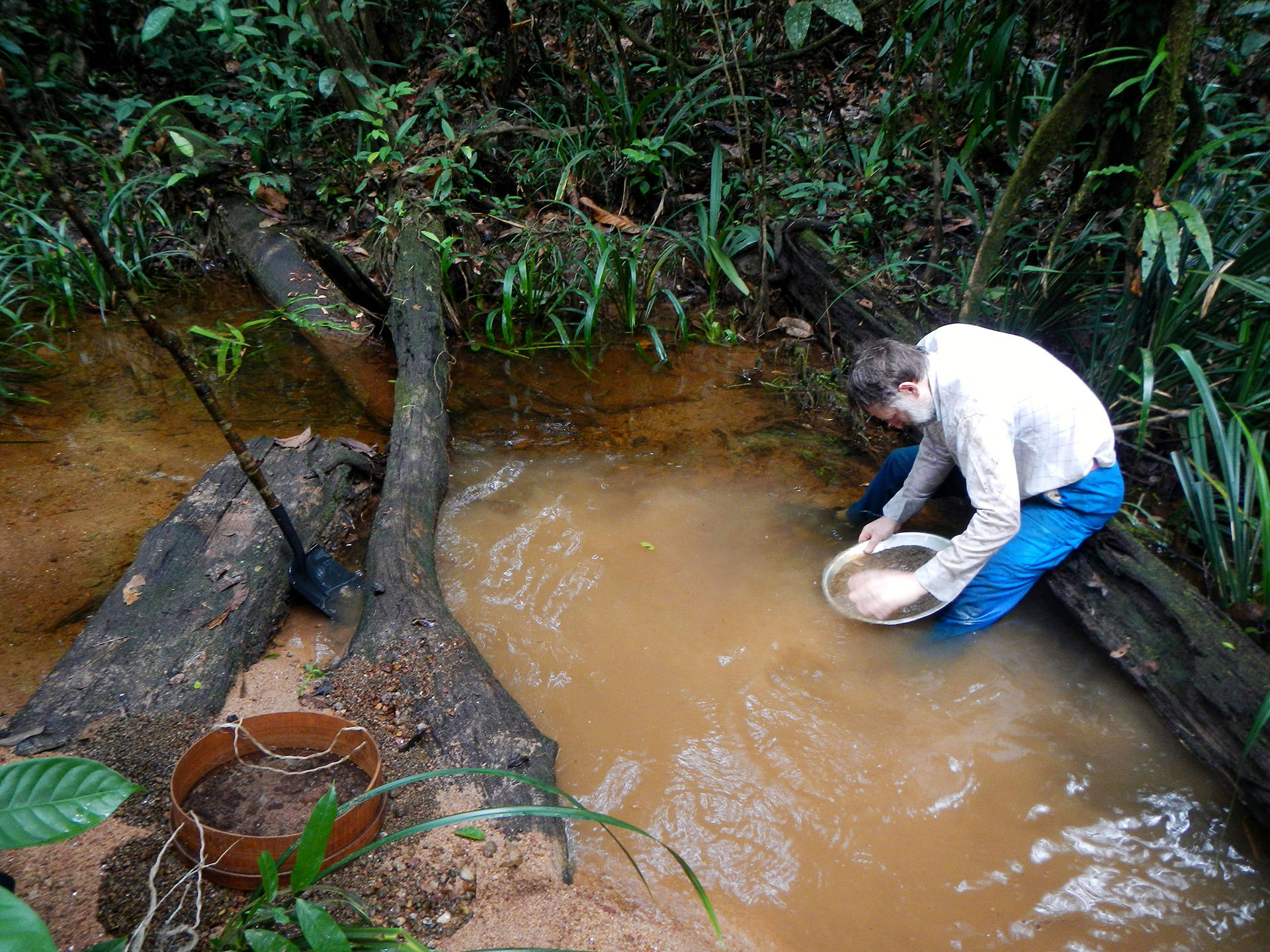 French Guiana Coltan Mining