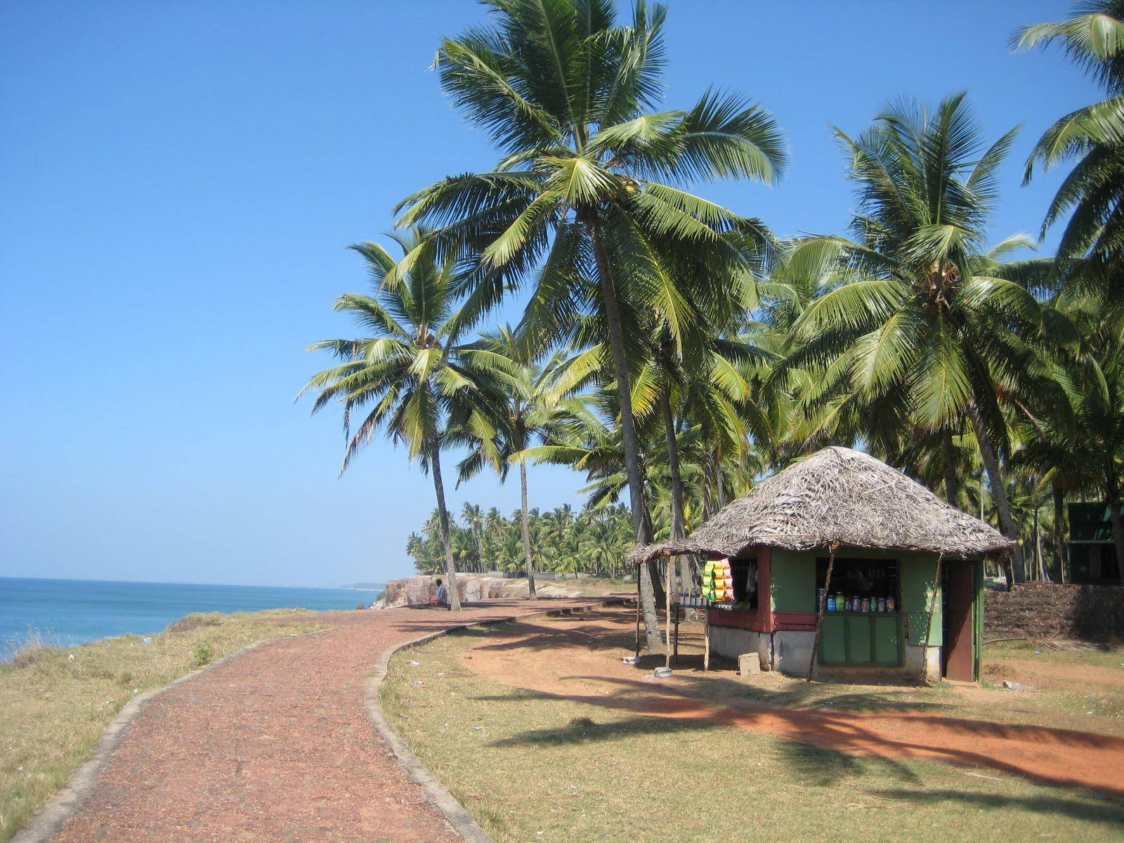 French Guiana Nipa Hut Background