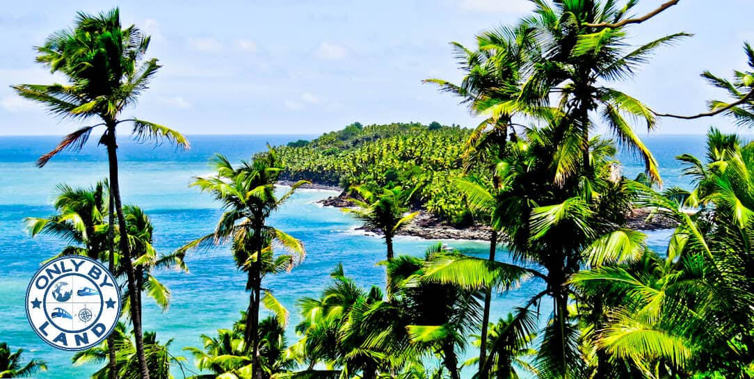 French Guiana Plants Background