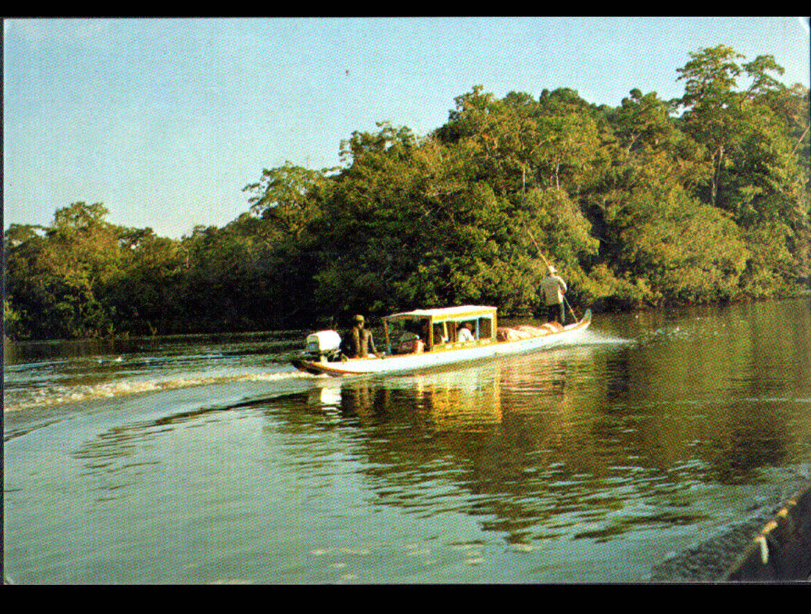 French Guiana River Background