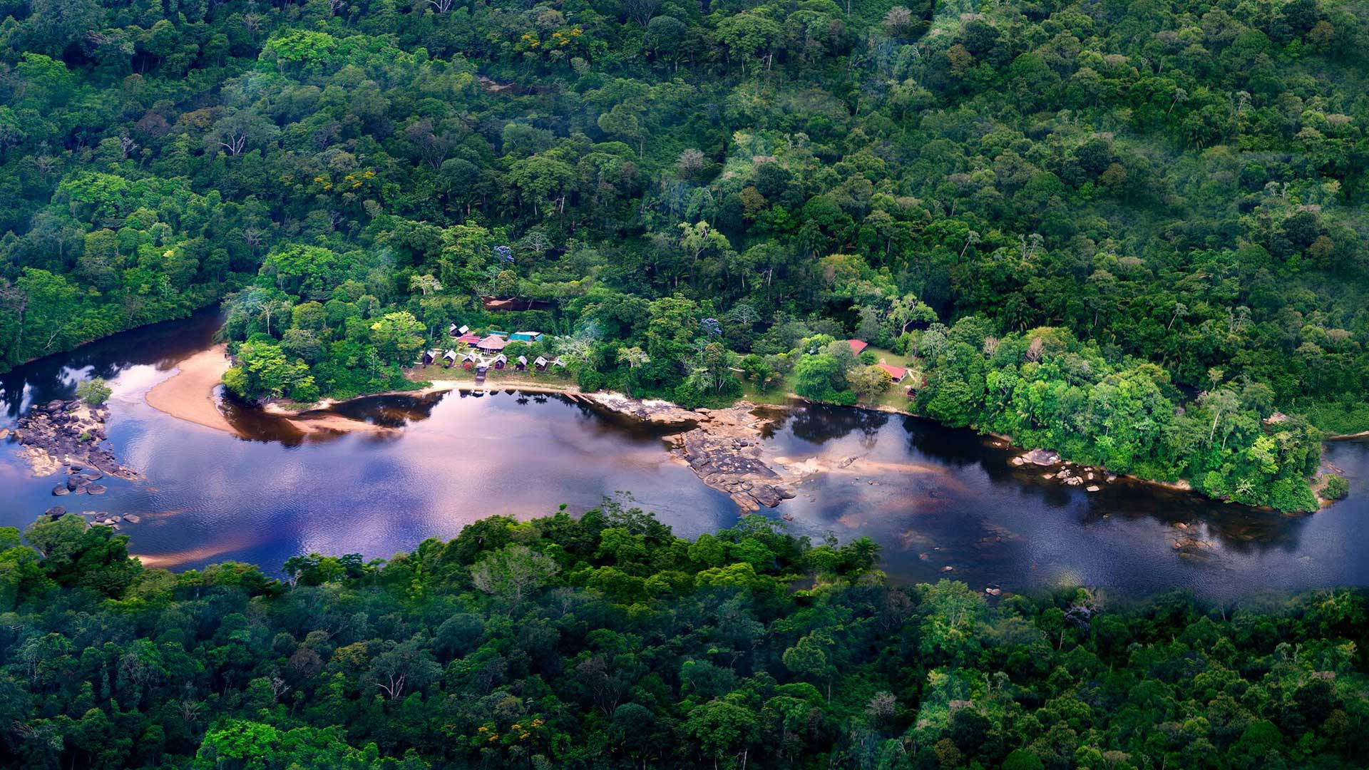 French Guiana River In Forest Background