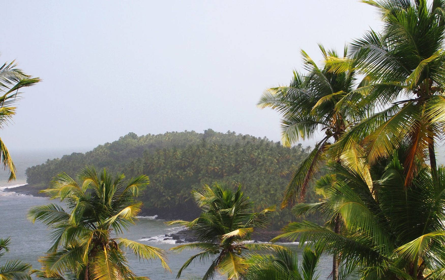 French Guiana River Background