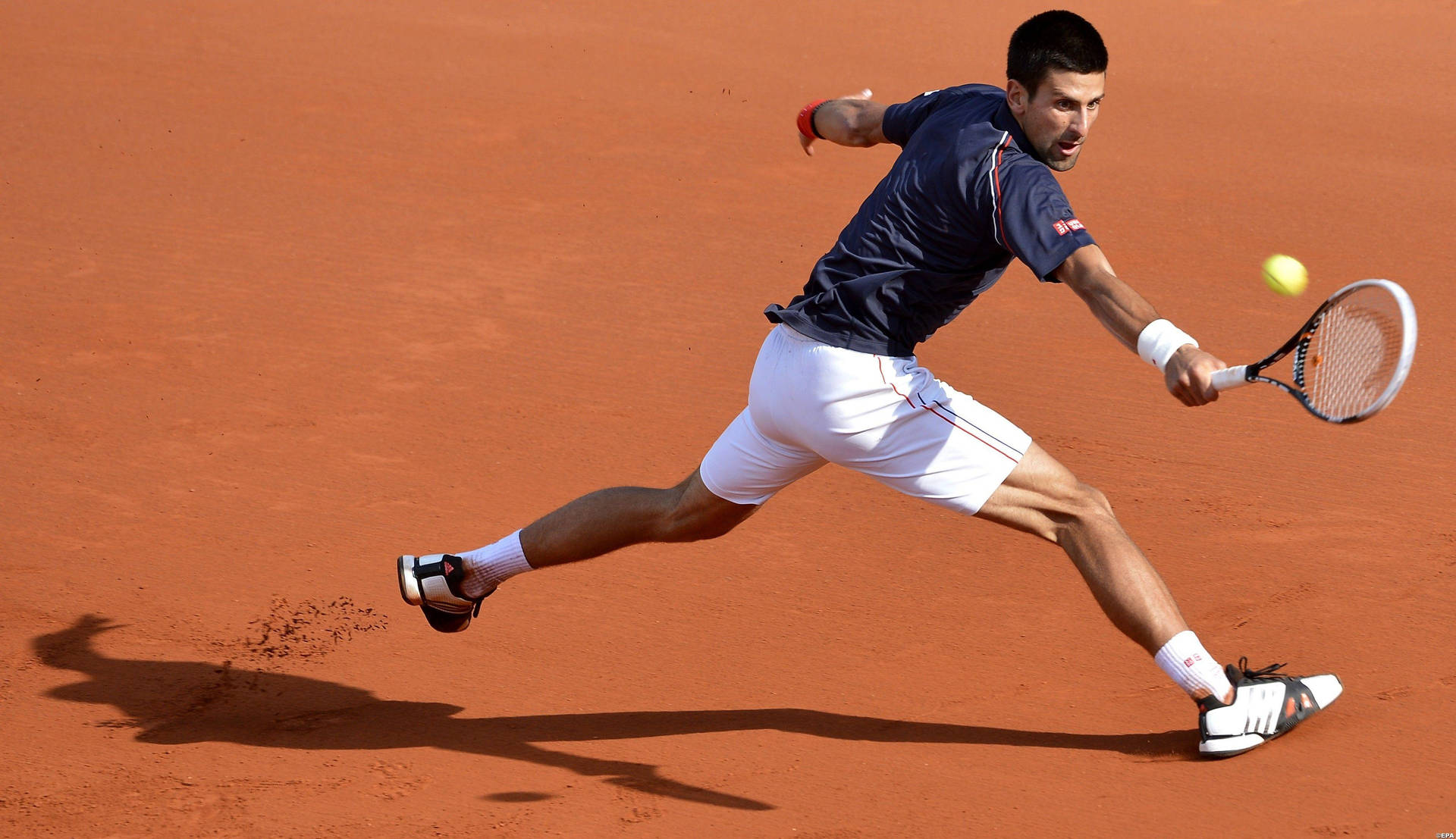 French Open Single Tournament Novak Djokovic