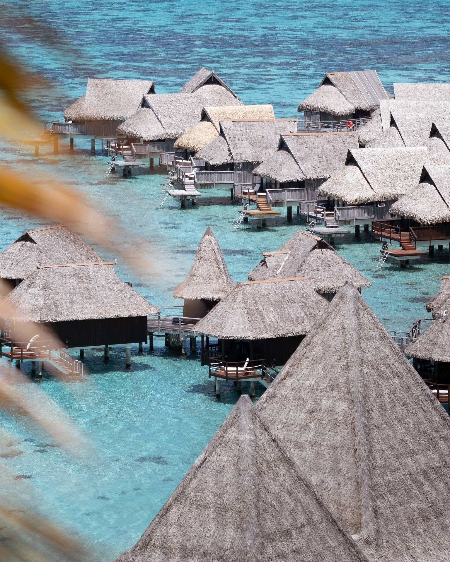 French Polynesia Houses In Ocean Background