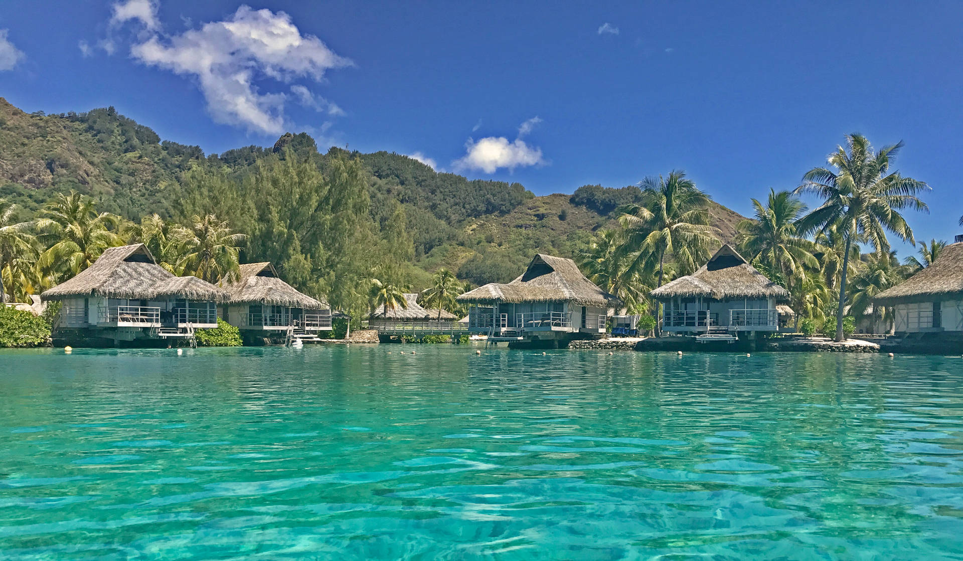 French Polynesia Huts In Shore Background