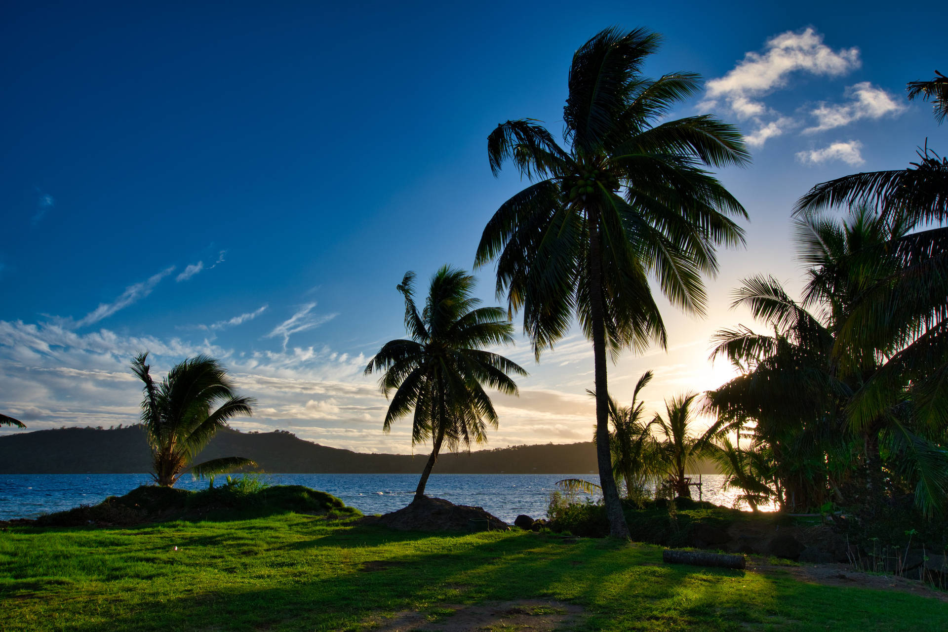 French Polynesia Island Of Palm Trees Background