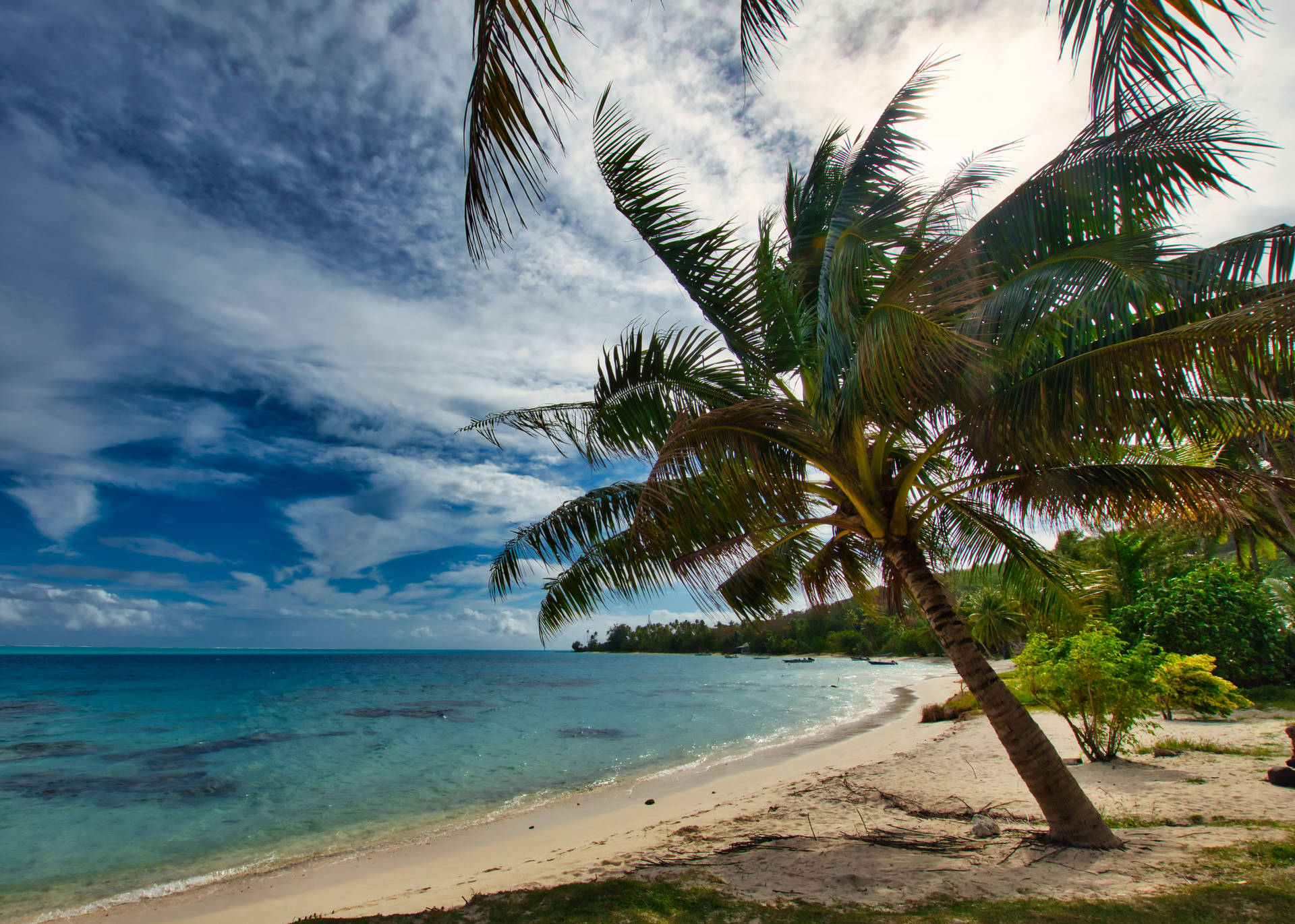 French Polynesia Island Background