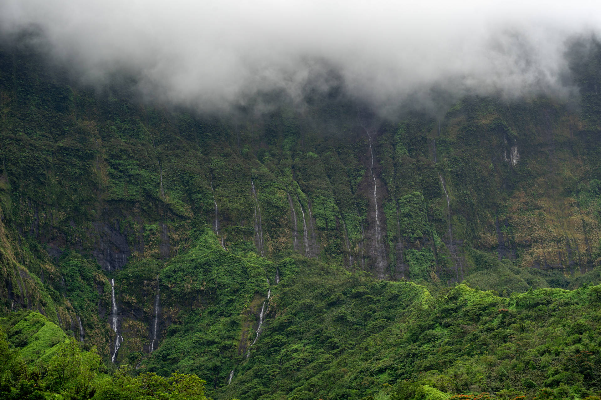 French Polynesia Mountain Background