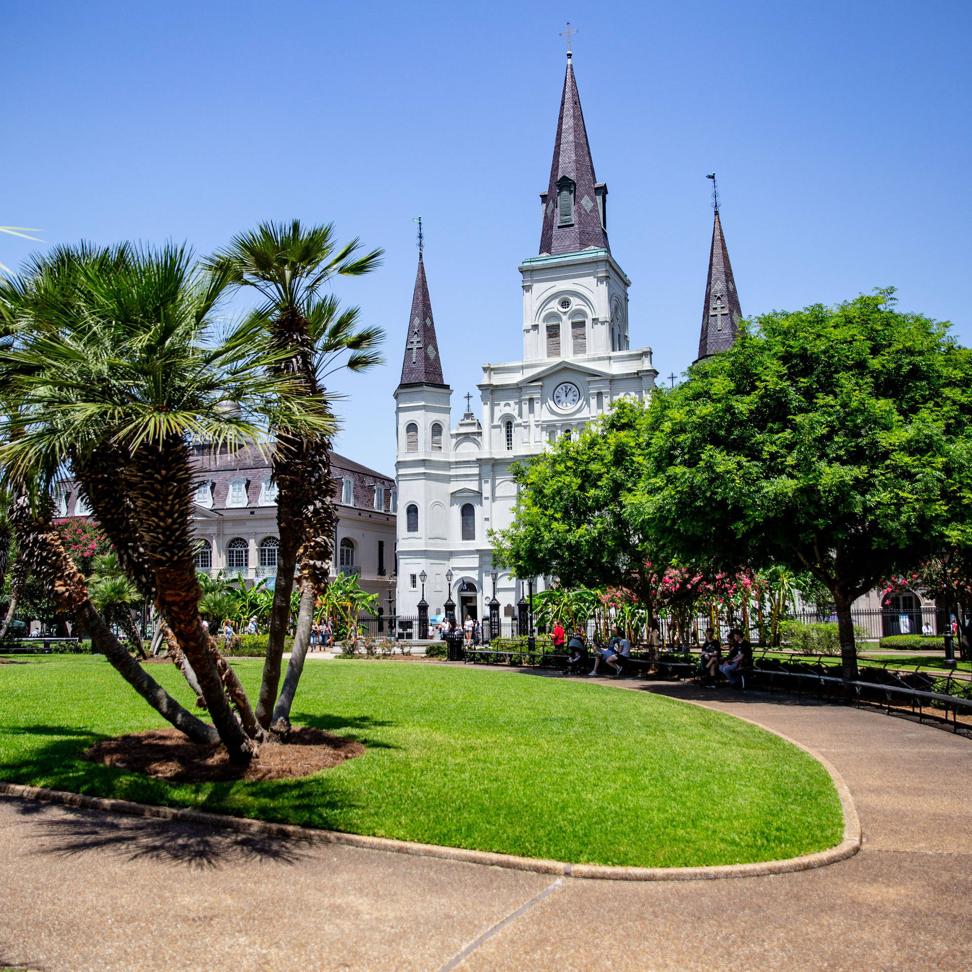 French Quarter St. Louis Cathedral Background