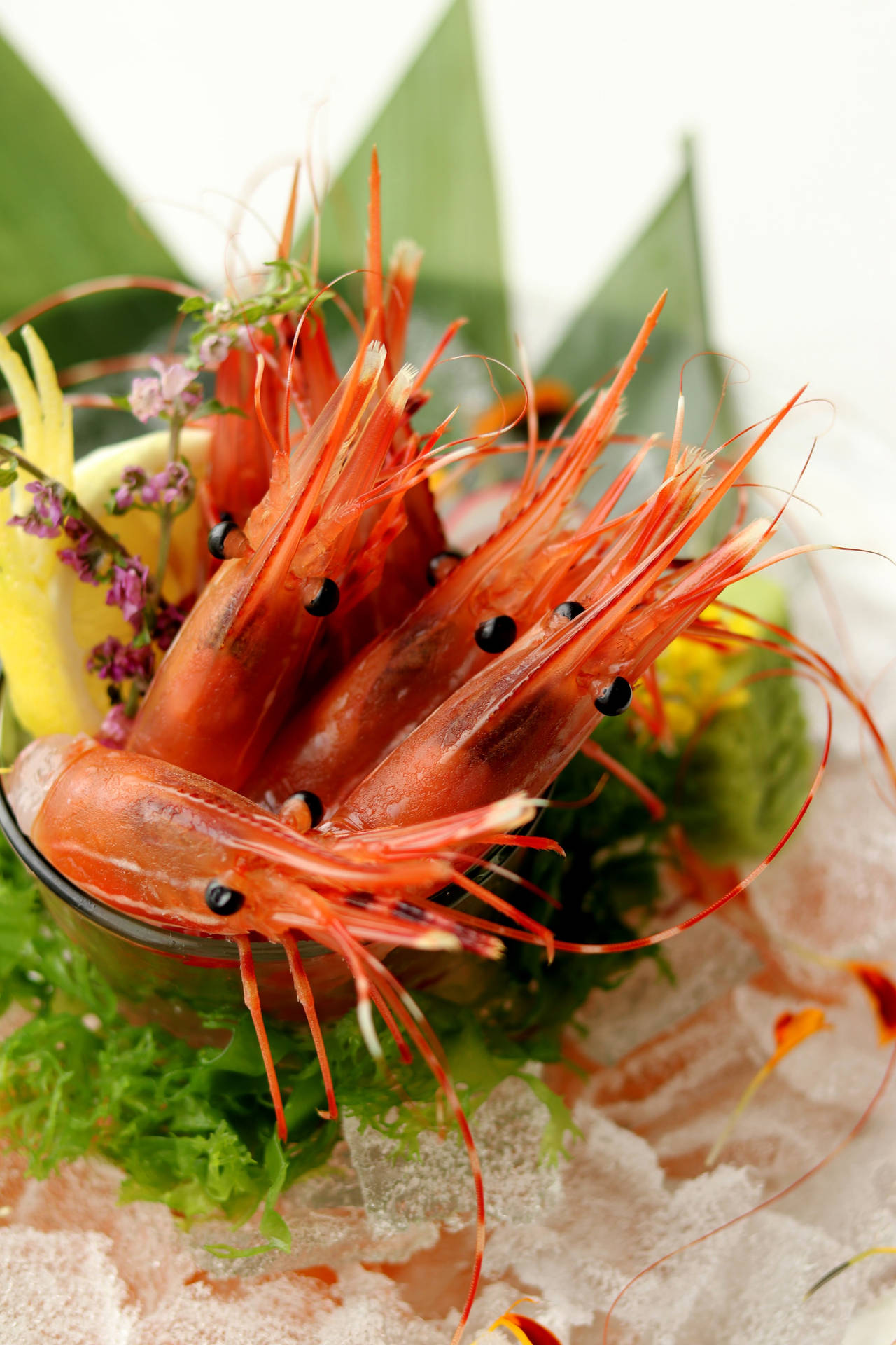 Fresh And Delicious Prawn Salad Background