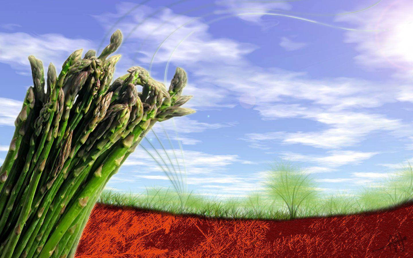 Fresh And Healthy Asparagus Vegetable Background