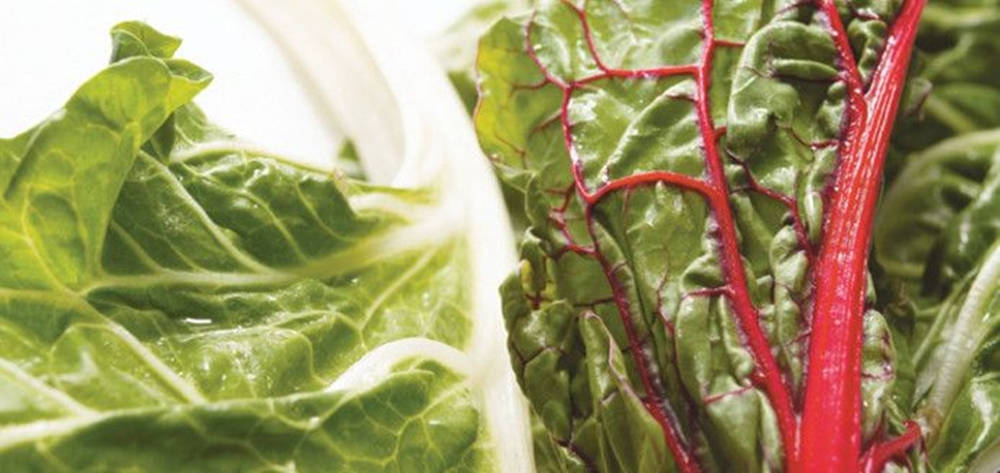 Fresh And Healthy White And Red Swiss Chard Background